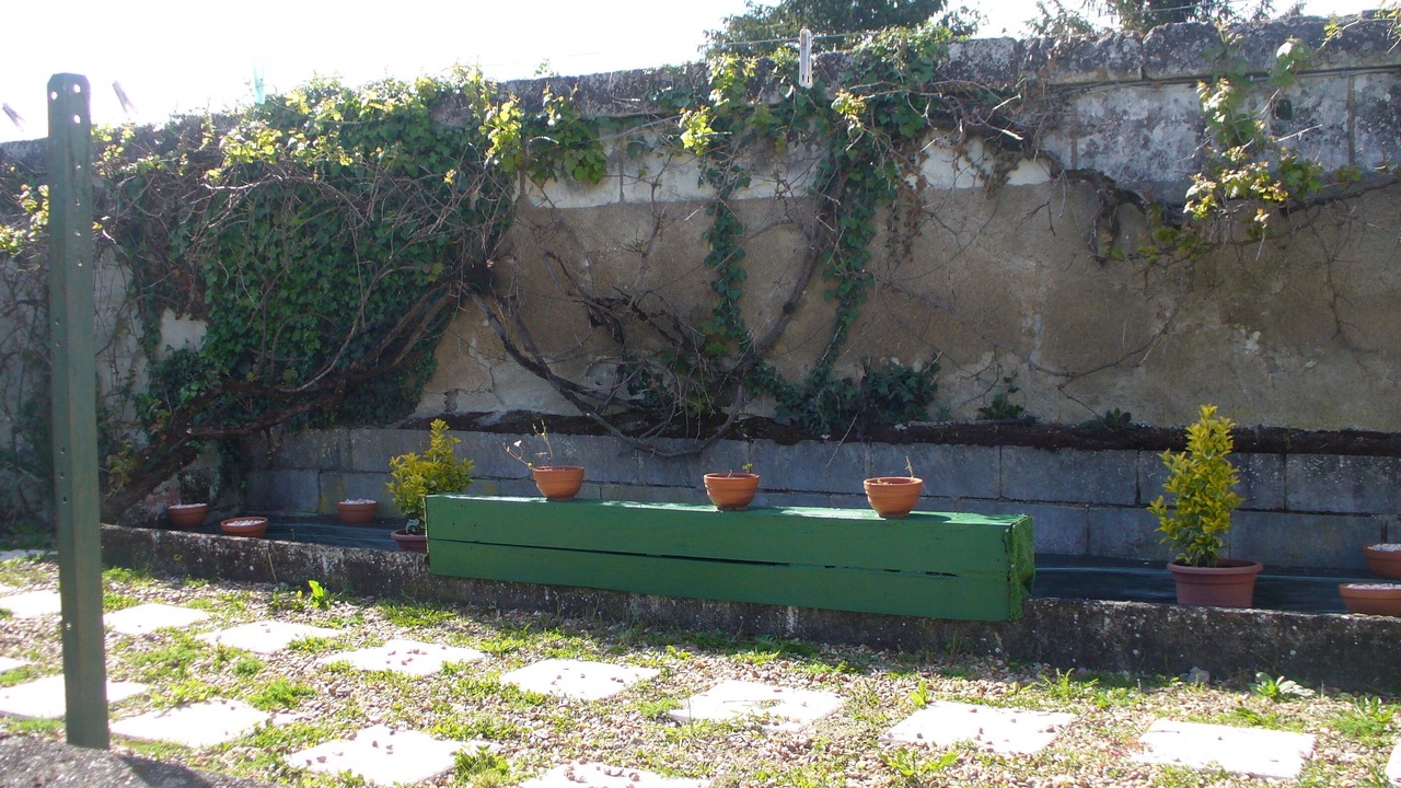Photo of Outdoor in Chenehutte-Treves-Cunault