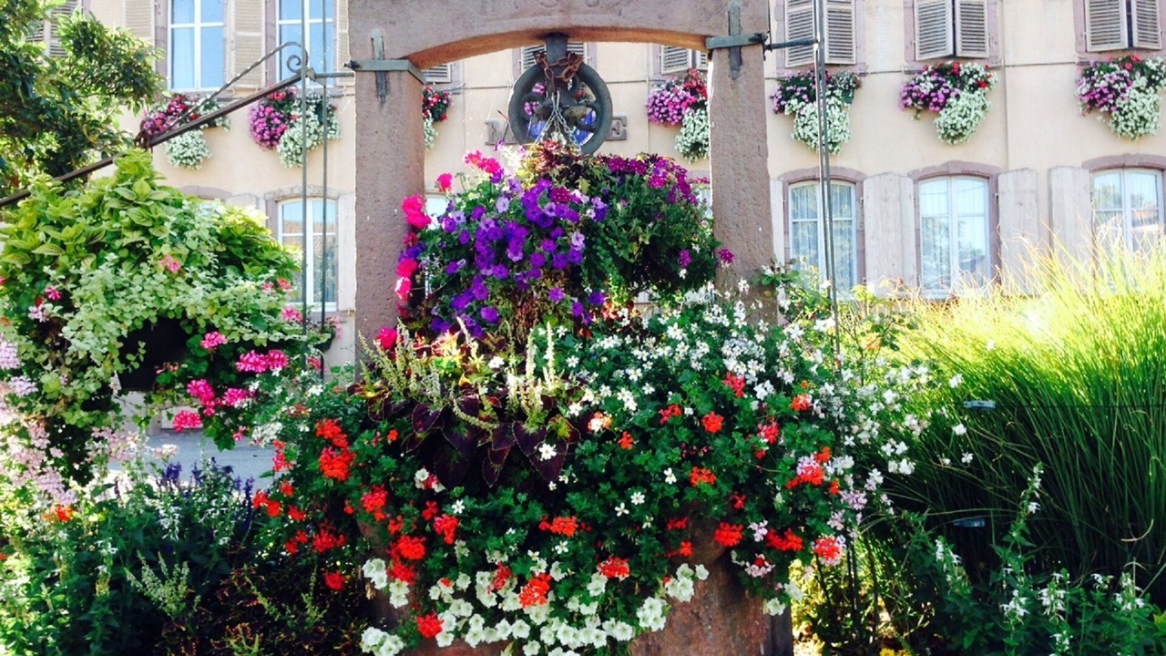 Photo of Outdoor in Oberhergheim