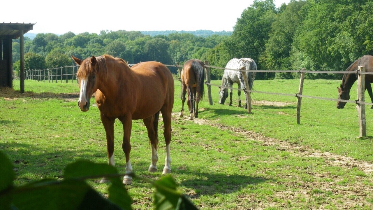 Photo of Outdoor in Crecy-en-Brie