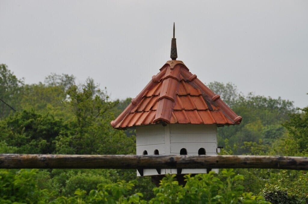 Photo of Outdoor in Desvres