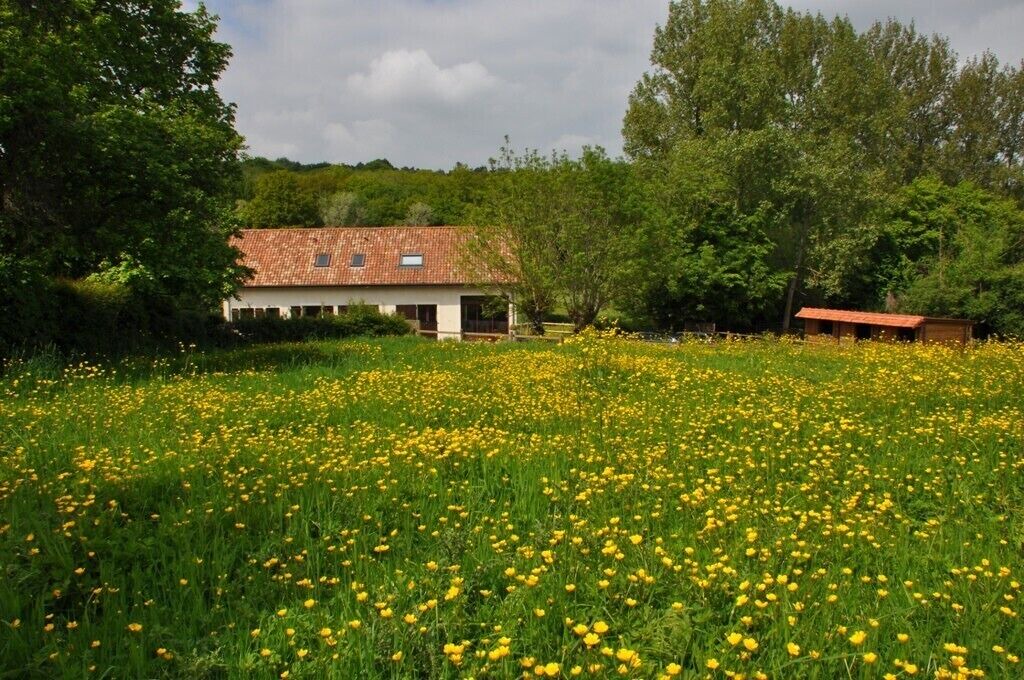 Photo of Outdoor in Desvres