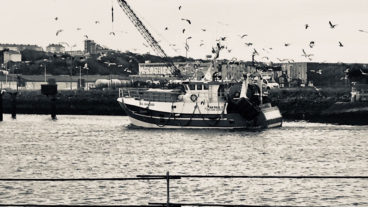 Photo of Others in Boulogne-sur-Mer