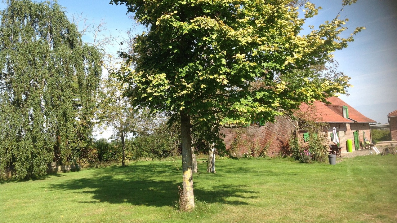 Photo of Outdoor in Wormhout