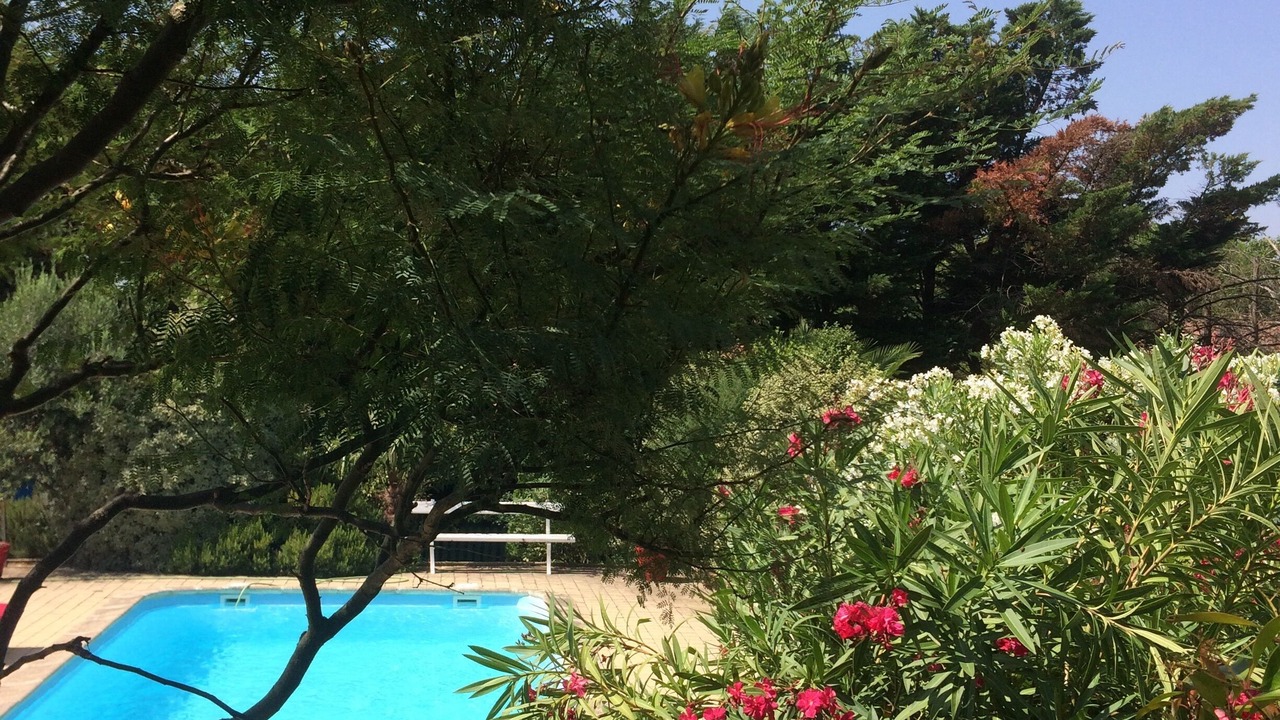 Photo of Outdoor in Carcassonne