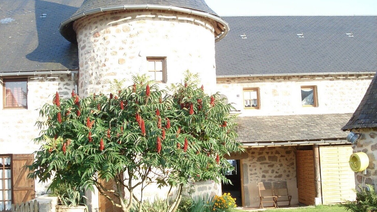 Photo of Outdoor in Alligny-en-Morvan