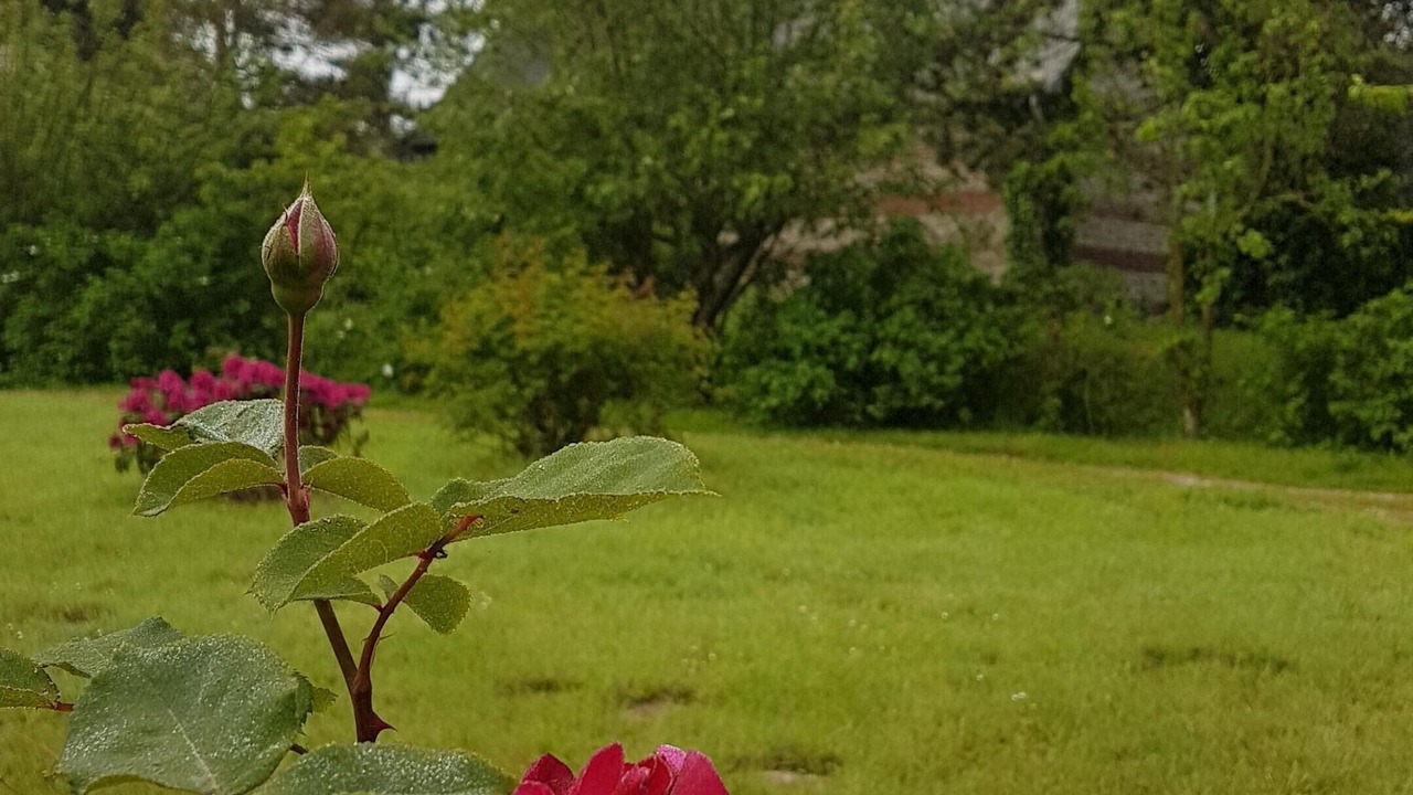 Photo of Outdoor in Clasville