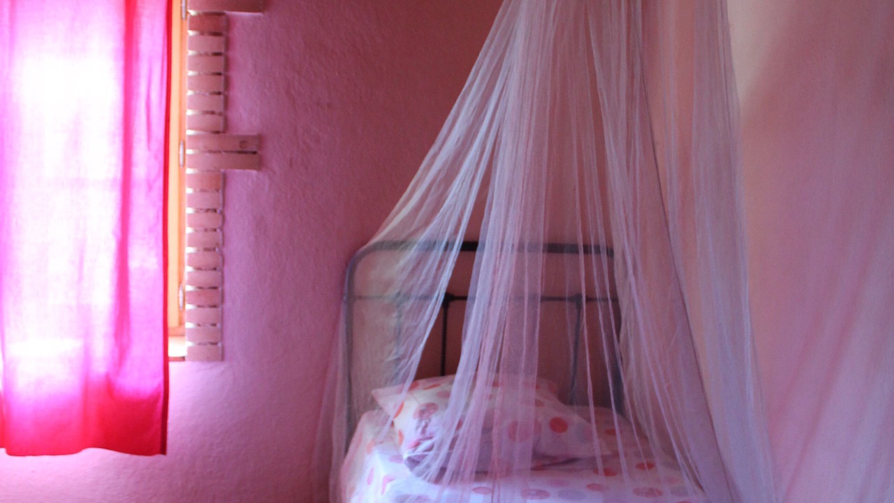 Photo of Bedroom in Saint-Andre-d'Olerargues