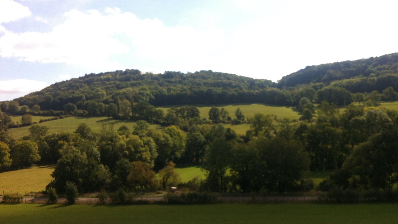 Photo of Others in Flavigny-sur-Ozerain