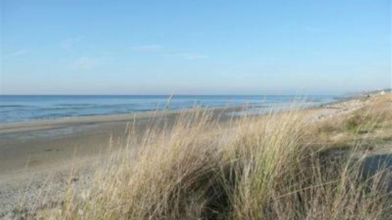 Photo of Others in Hardelot-Plage