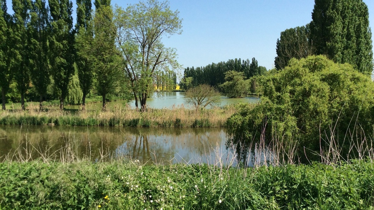 Photo of Others in Les Marets
