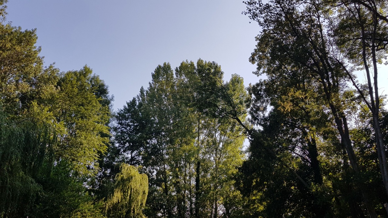 Photo of Outdoor in Gouvieux