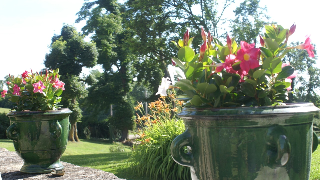 Photo of Outdoor in Etaule
