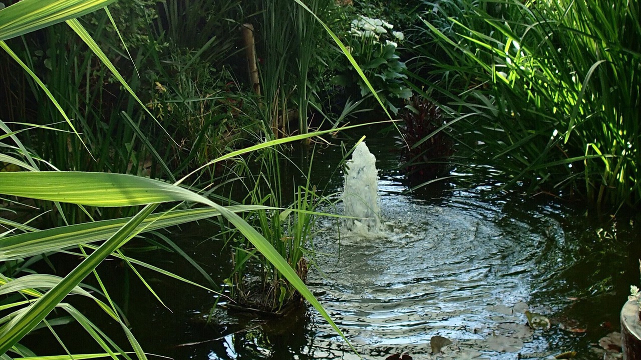 Photo of Outdoor in Montivilliers