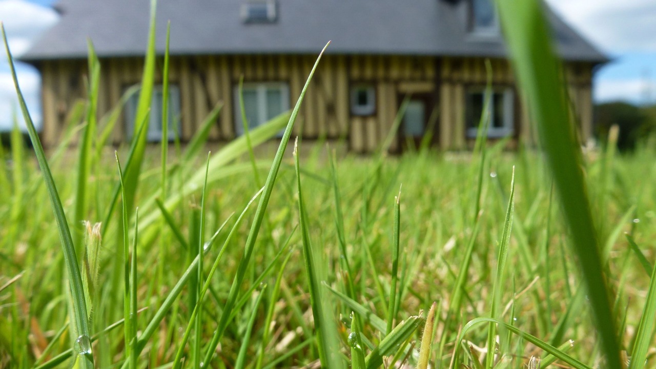 Photo of Outdoor in Ablon