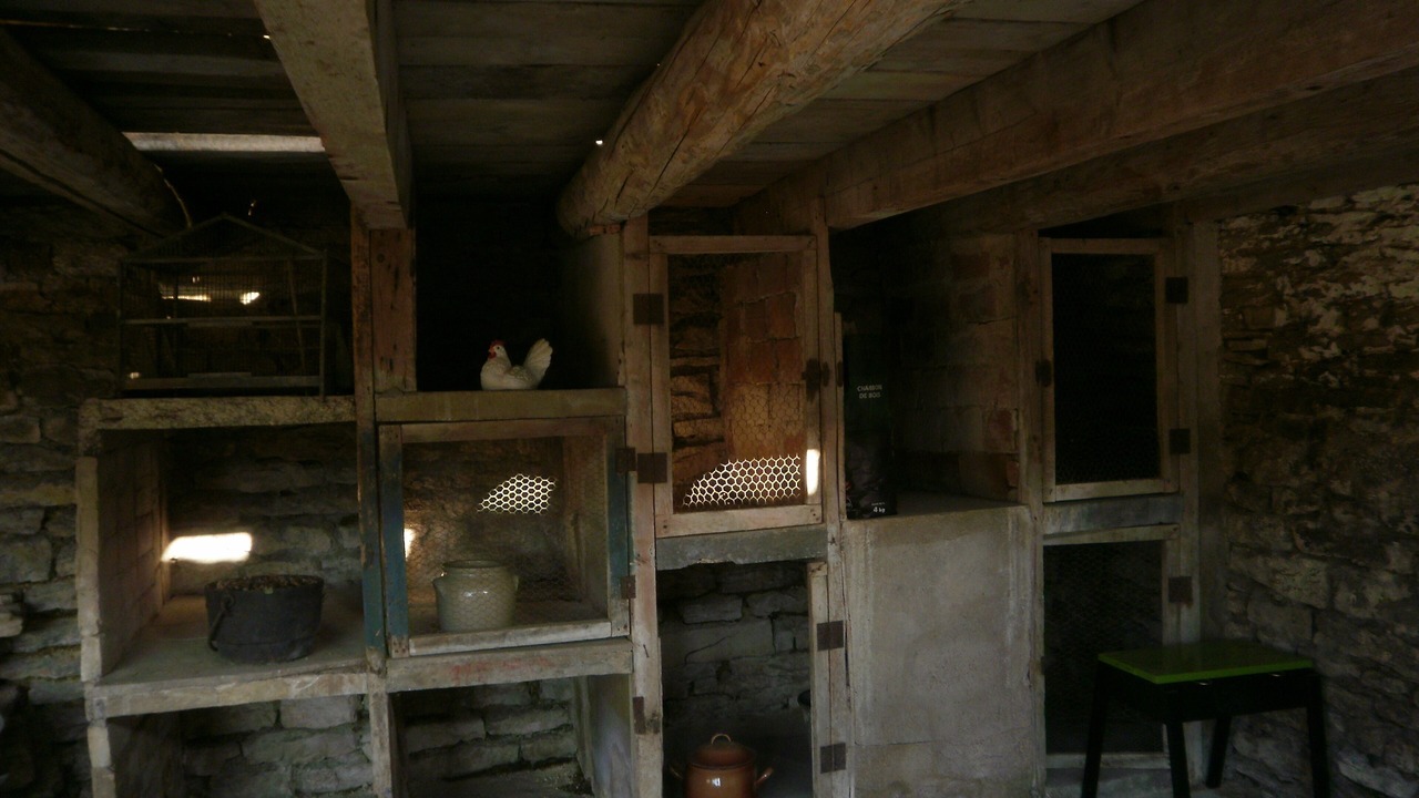 Photo of Outdoor in Chassey-le-Camp
