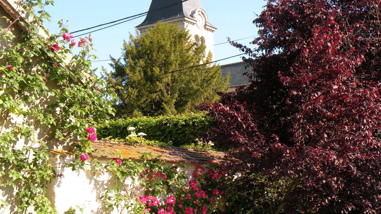 Photo of Outdoor in Saint-Nom-la-Breteche