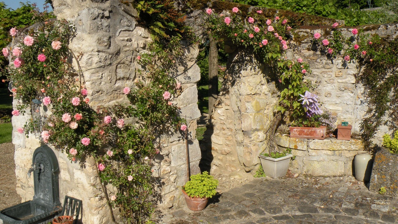 Photo of Outdoor in Saint-Nom-la-Breteche