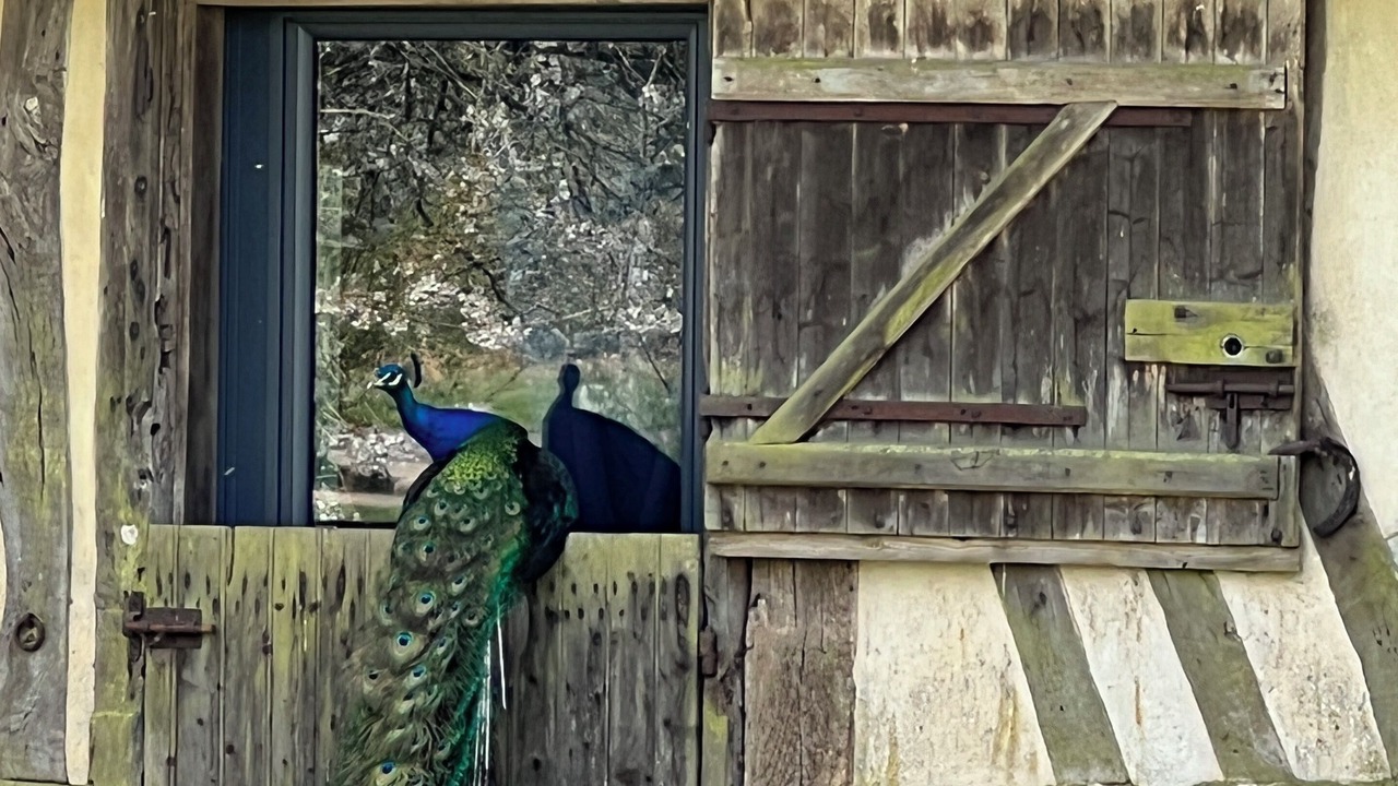 Photo of Outdoor in Flancourt-Catelon