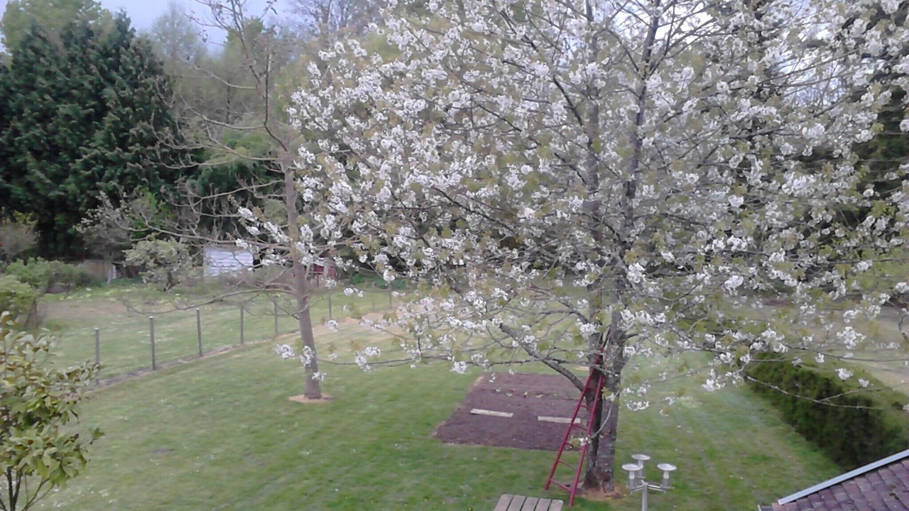 Photo of Outdoor in Lavau