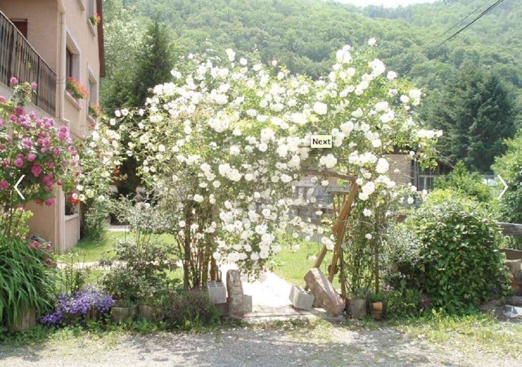 Photo of Outdoor in Thann