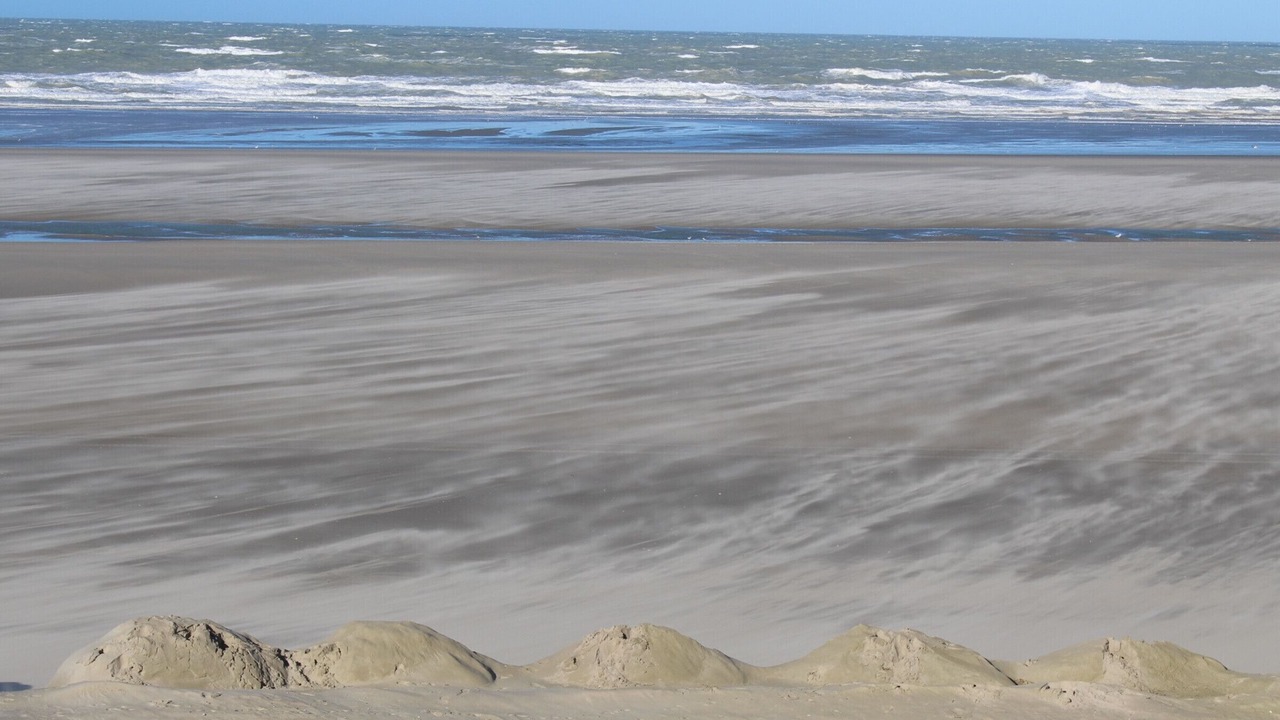 Photo of Others in Fort-Mahon-Plage
