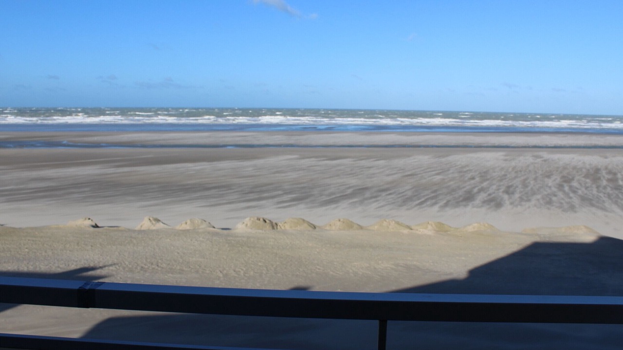 Photo of Others in Fort-Mahon-Plage