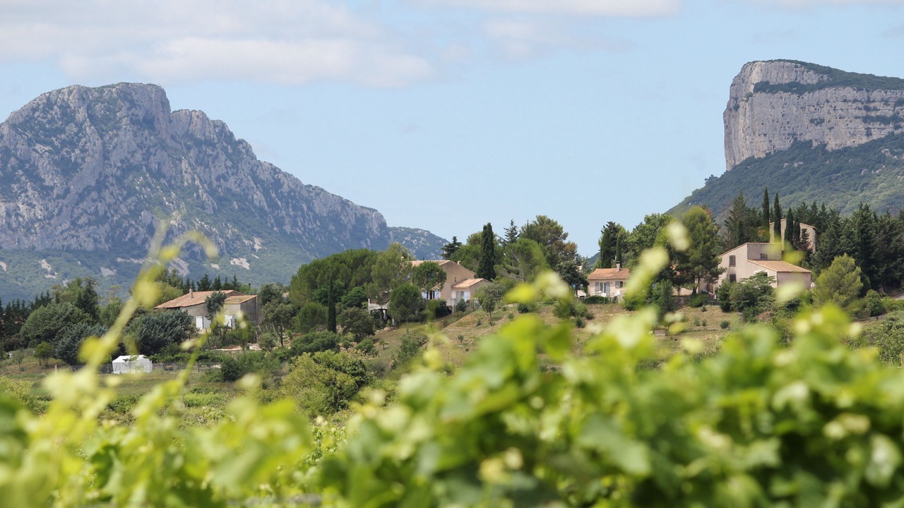 Photo of Outdoor in Valflaunes