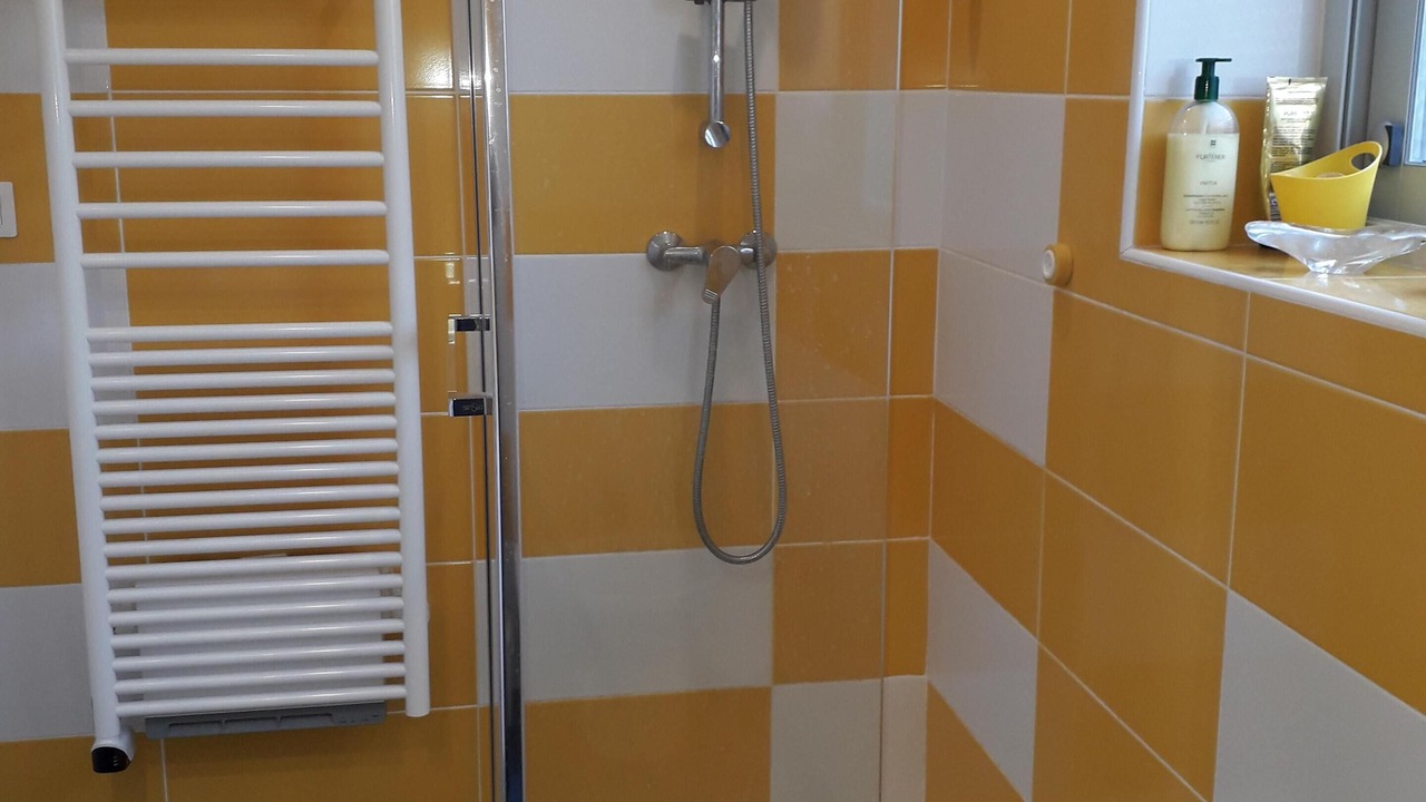 Photo of Bathroom in Valflaunes