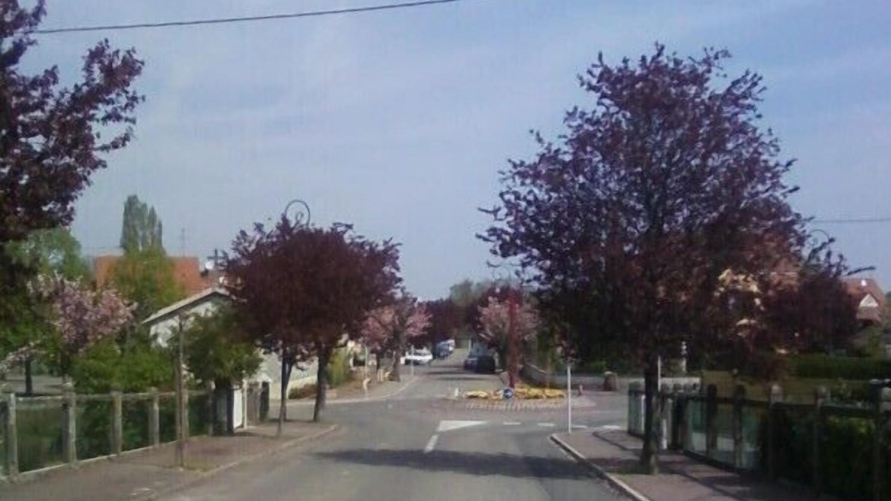 Photo of Outdoor in Ungersheim