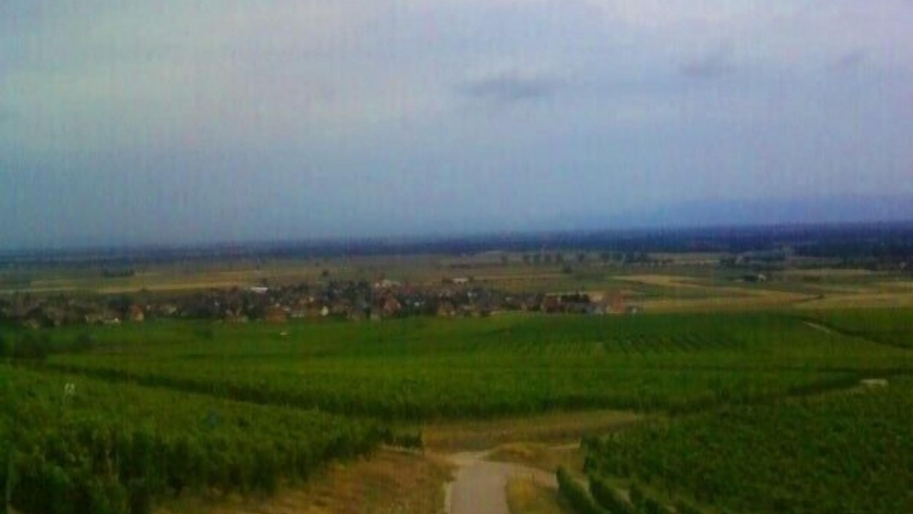 Photo of Others in Ungersheim