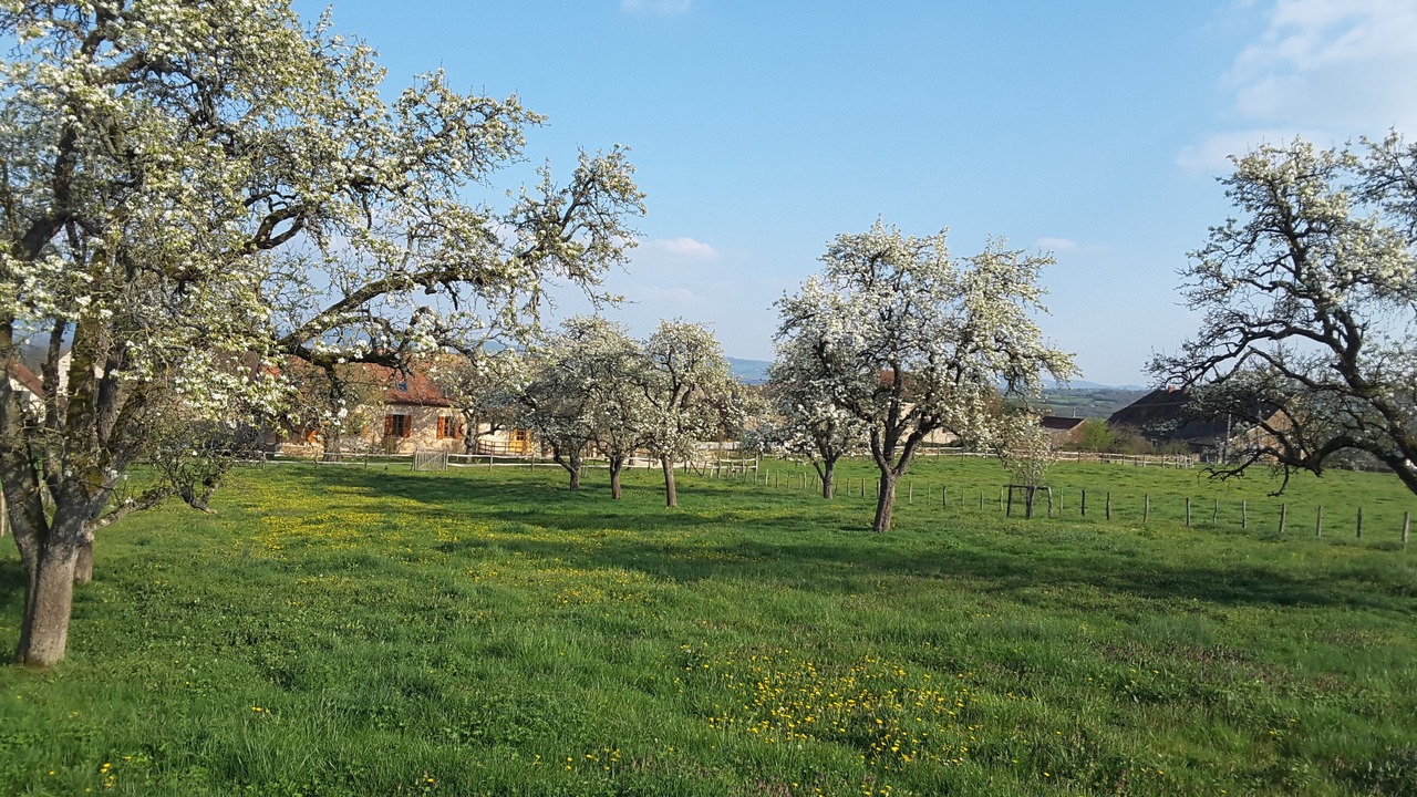 Photo of Outdoor in Viry