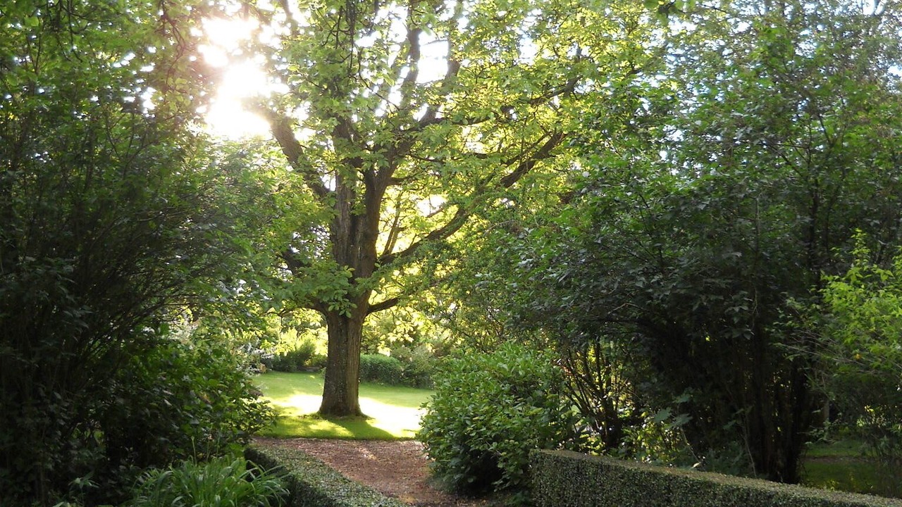 Photo of Outdoor in Fleury-la-Foret