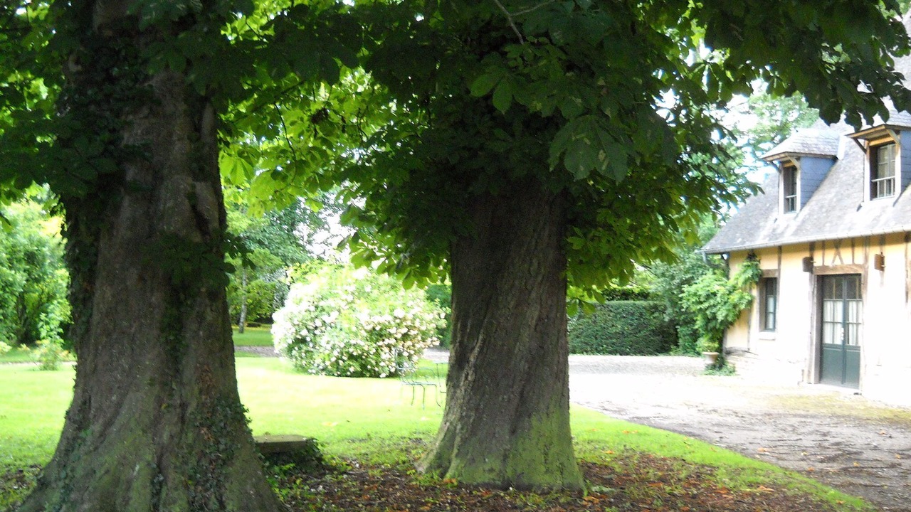 Photo of Outdoor in Fleury-la-Foret
