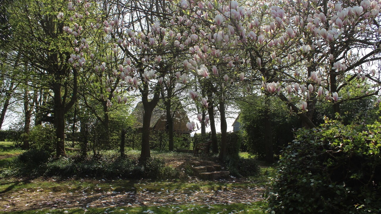 Photo of Outdoor in Fleury-la-Foret