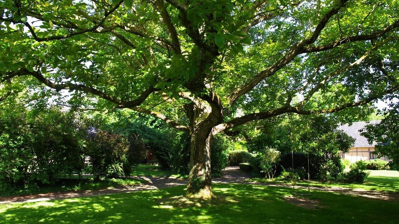 Photo of Outdoor in Fleury-la-Foret