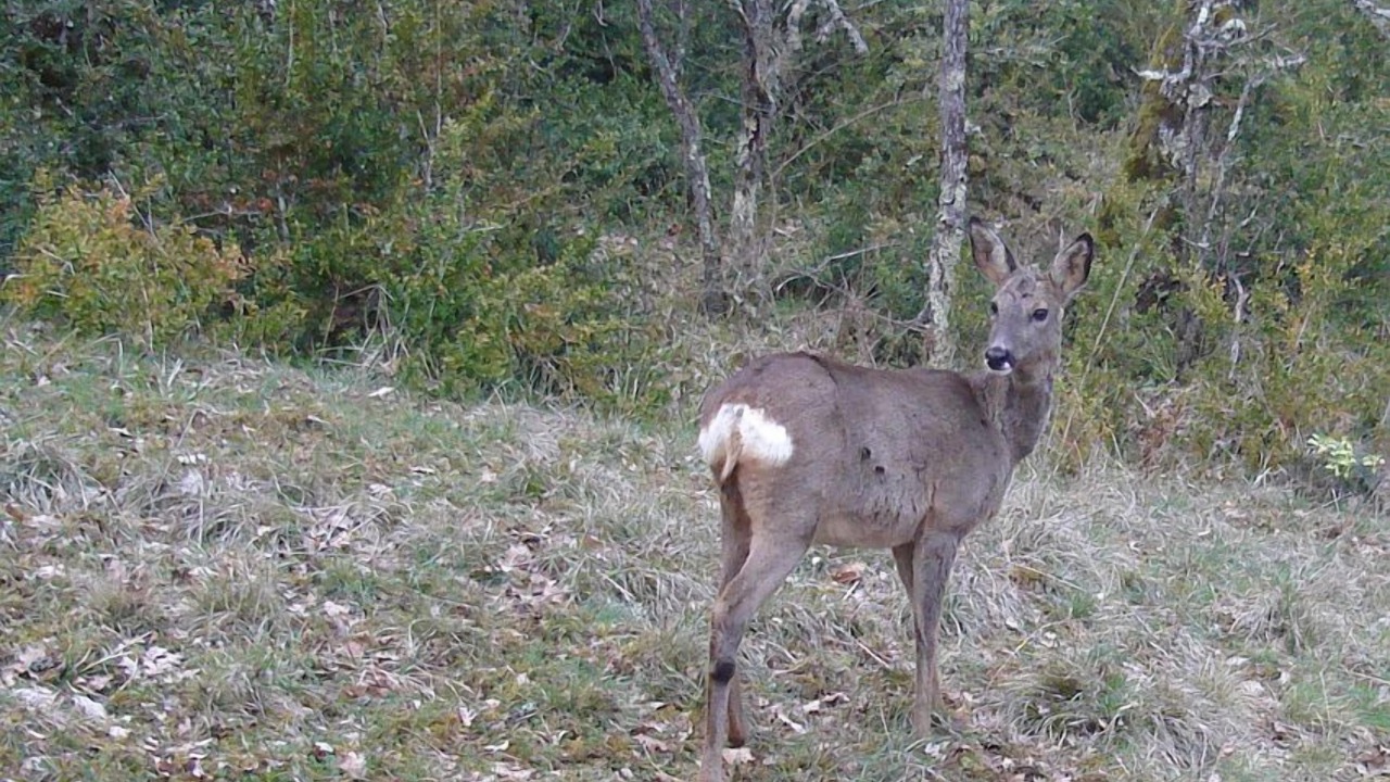 Photo of Outdoor in Sennevoy-le-Bas
