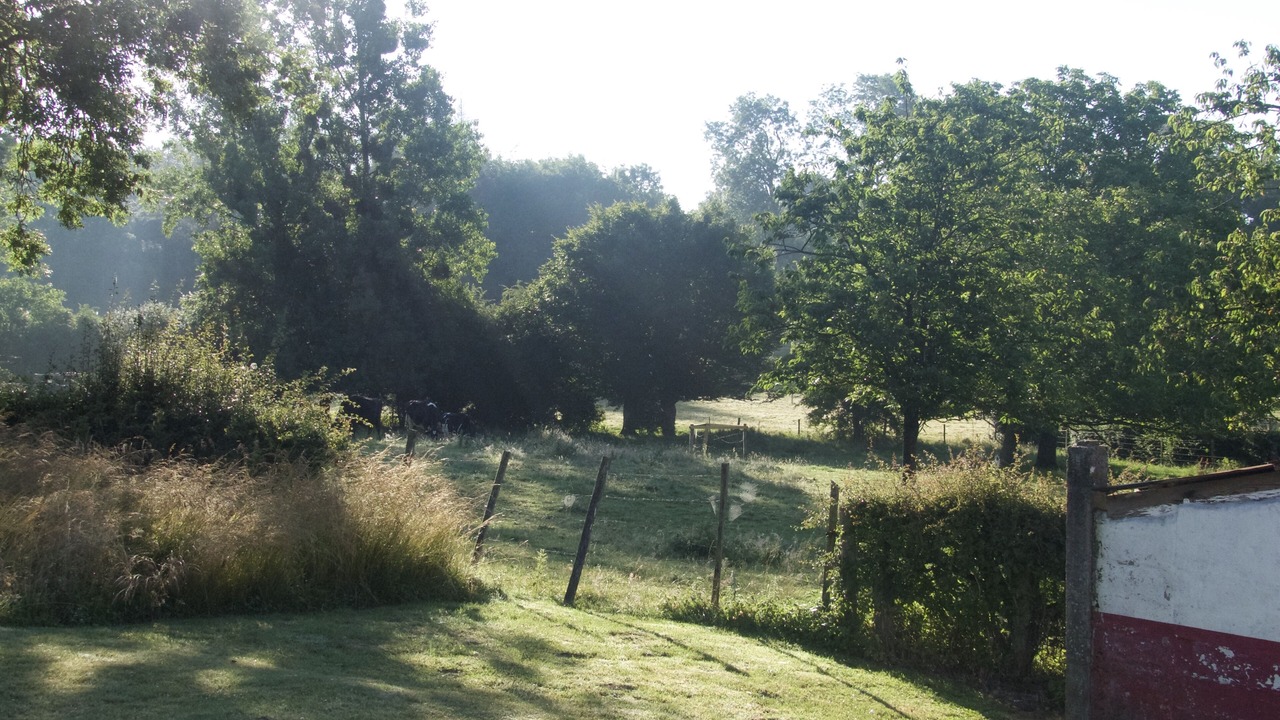 Photo of Outdoor in Azincourt