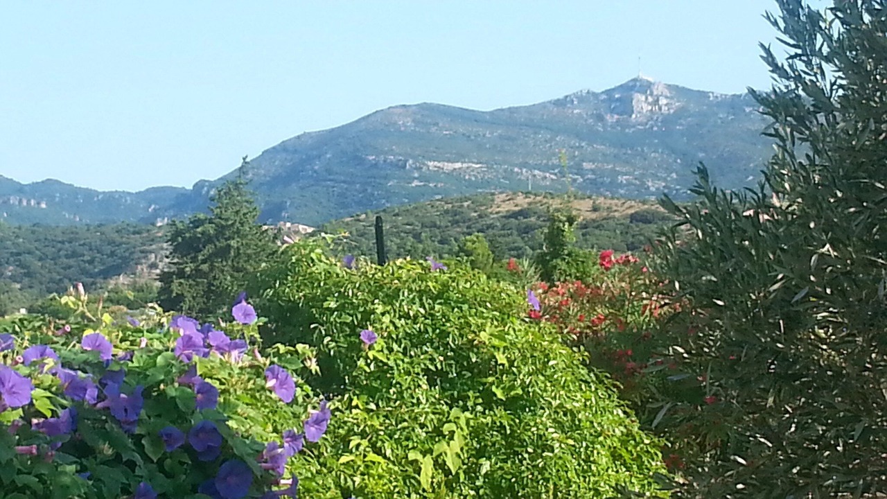 Photo of Outdoor in Montpeyroux