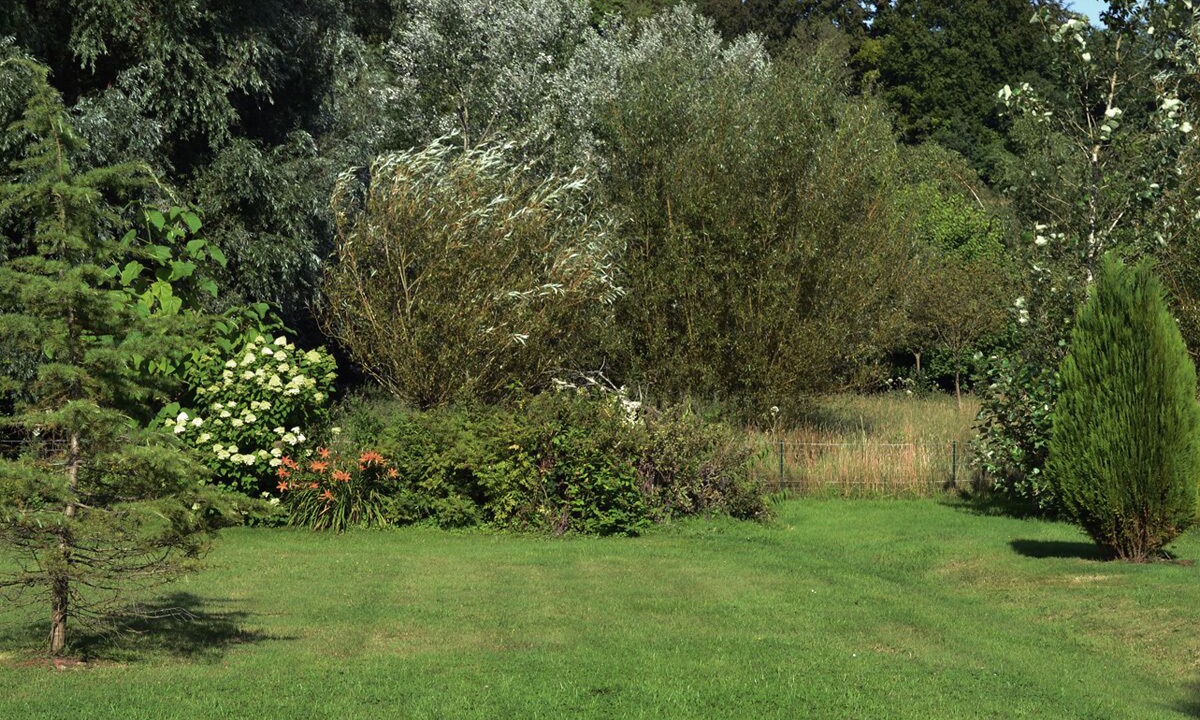 Photo of Outdoor in Saint-Crespin