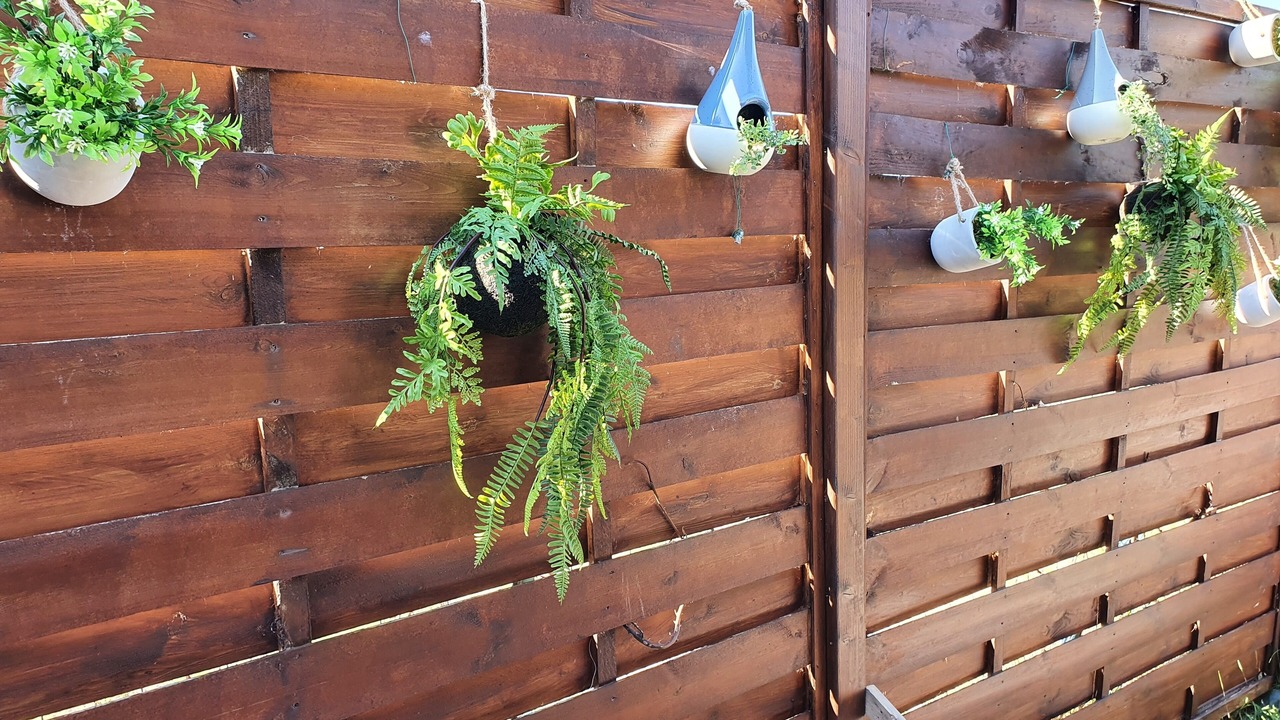 Photo of Outdoor in Pannes