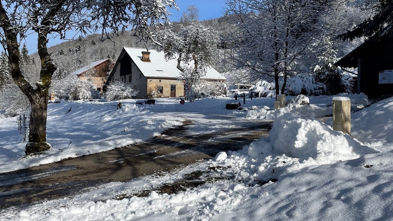 Photo of Outdoor in Tendon