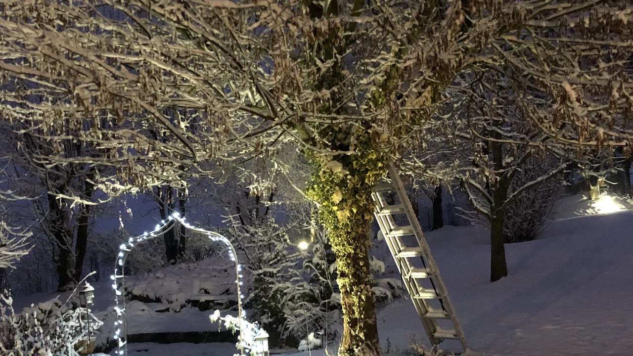 Photo of Outdoor in Willgottheim