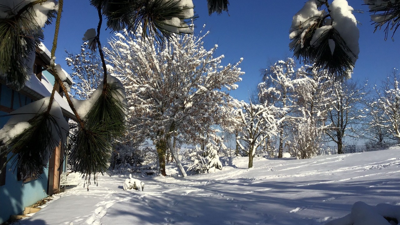 Photo of Outdoor in Willgottheim