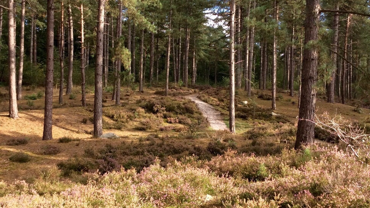 Photo of Outdoor in Crepy-en-Valois
