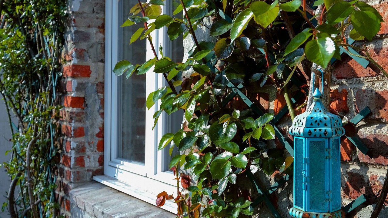 Photo of Outdoor in Crepy-en-Valois