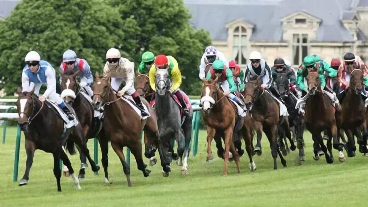 Photo of Others in Saint-Leu-dEsserent