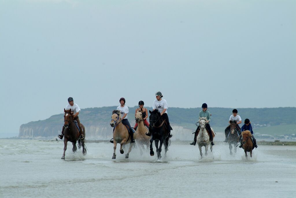 Photo of Others in Paluel