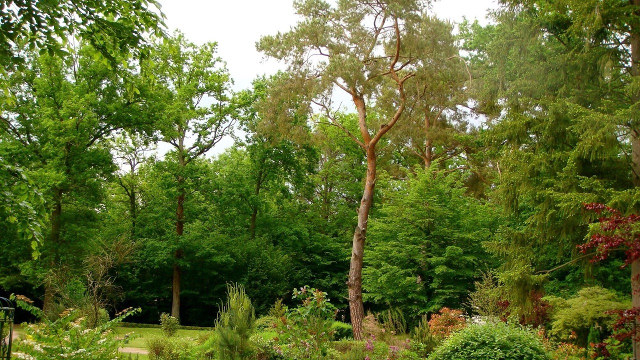 Photo of Outdoor in Noisy-sur-Ecole