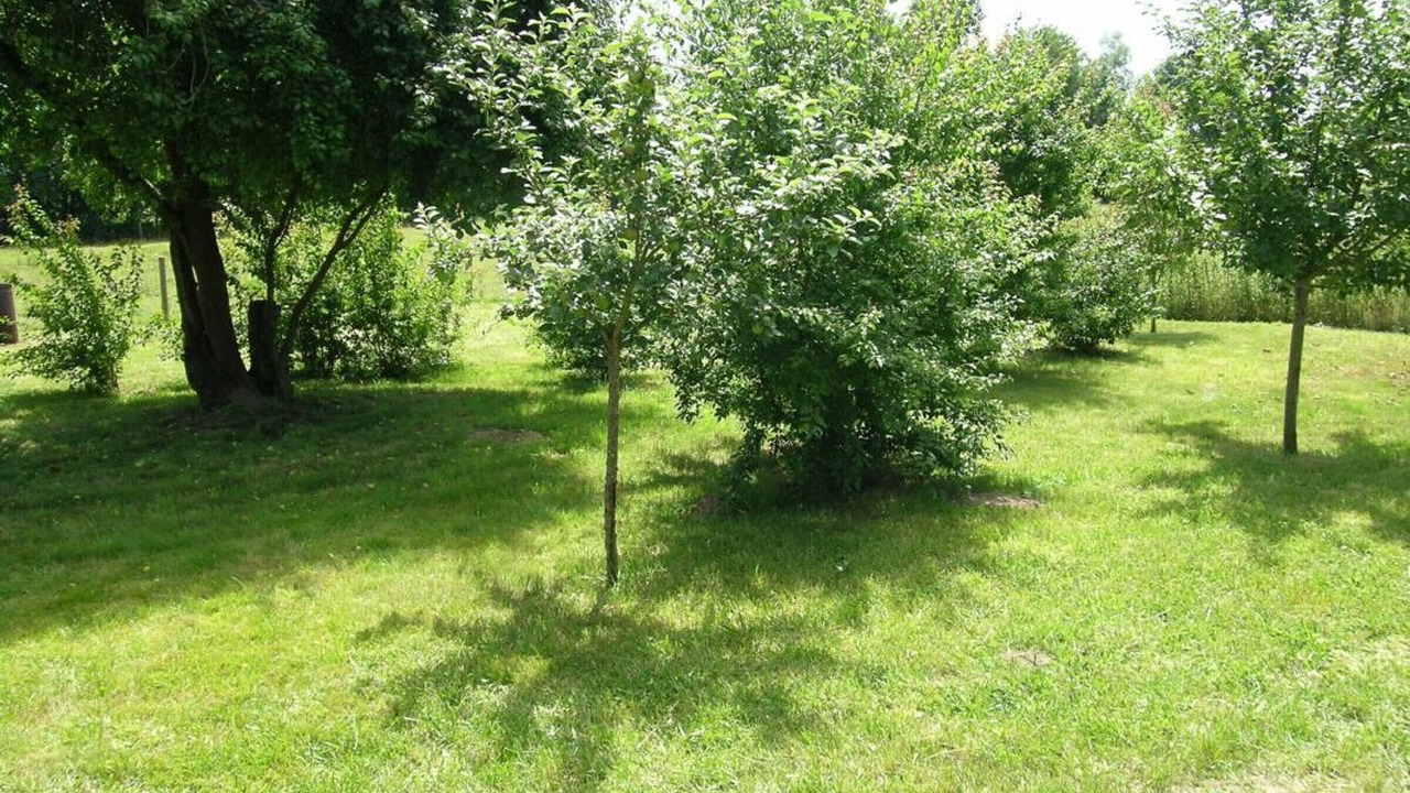 Photo of Outdoor in Dompierre-sur-Besbre