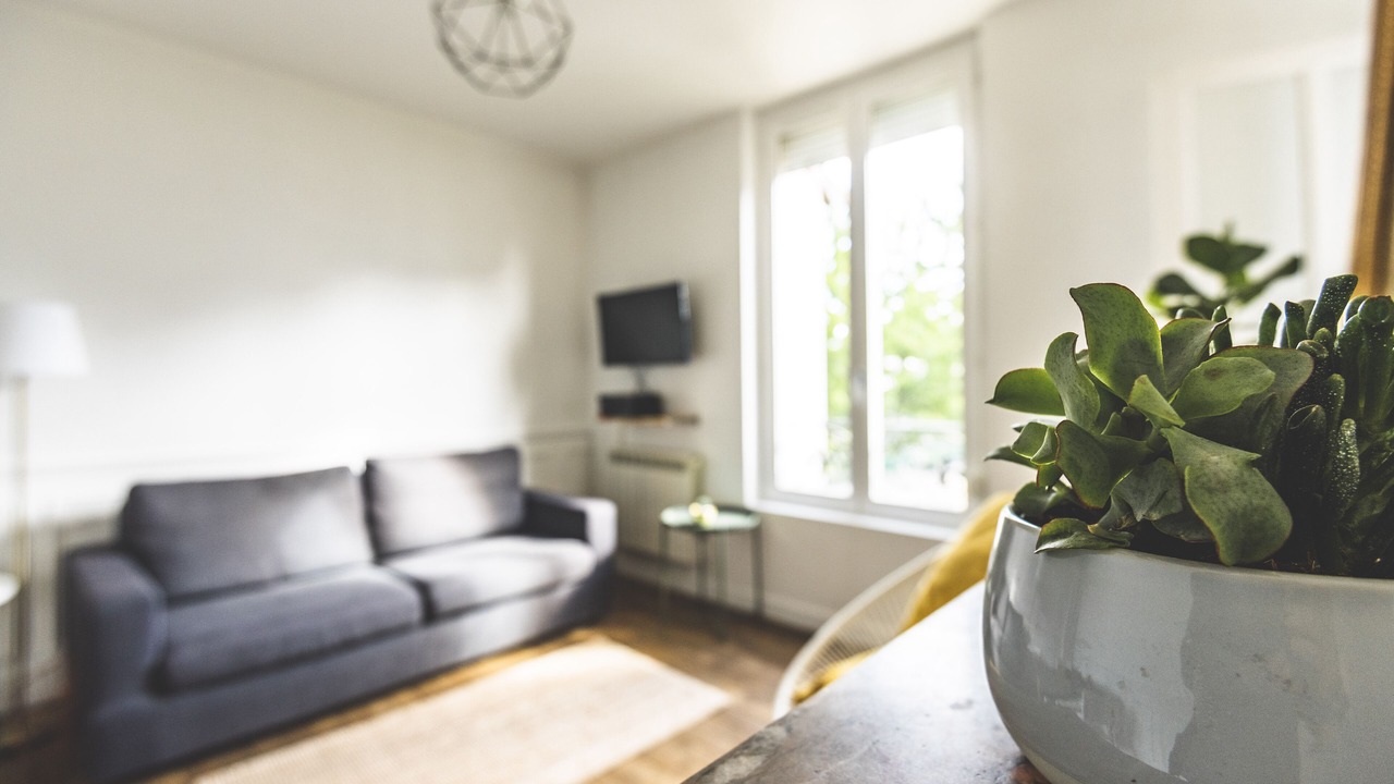 Photo of Livingroom in Reims